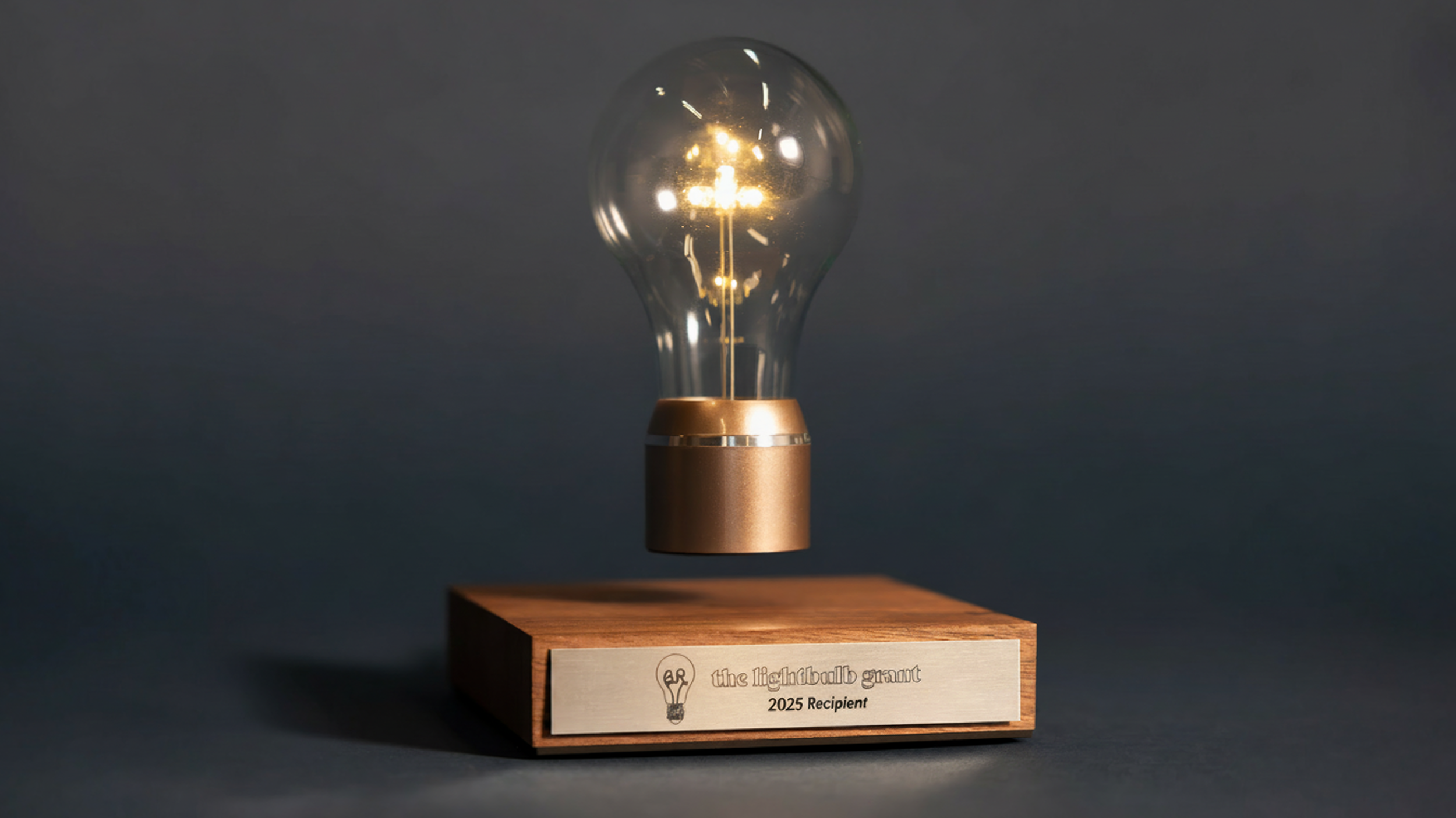 Lightbulb grant photo